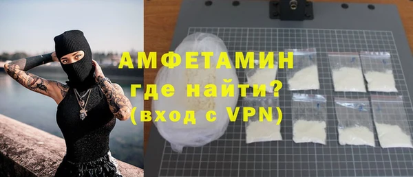 гашик Горняк