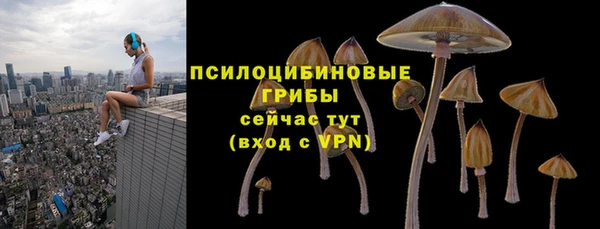 гашик Горняк