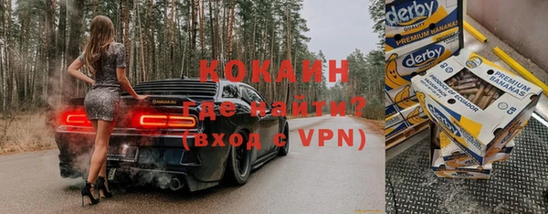 гашик Горняк