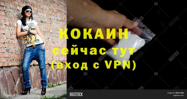 гашик Горняк