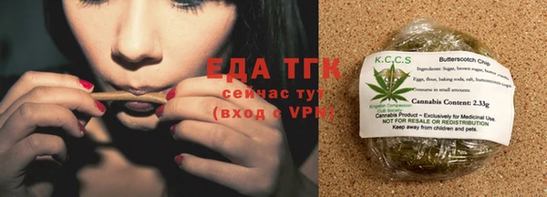 гашик Горняк