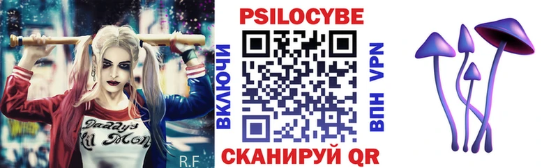 OMG ONION  где можно купить   Знаменск  Галлюциногенные грибы GOLDEN TEACHER 